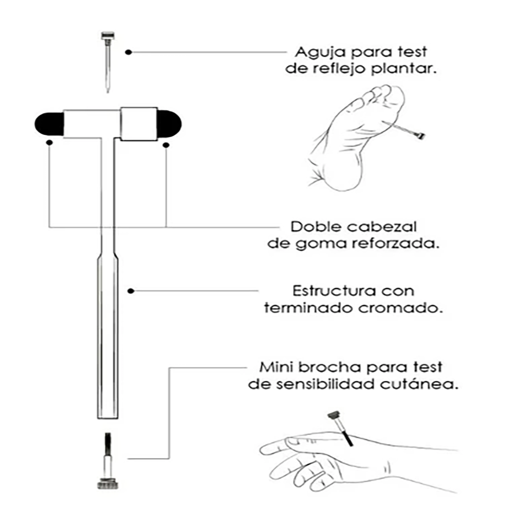 Proveedora Médica Velasco