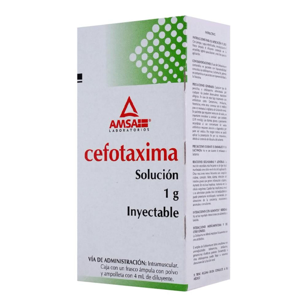 CEFOTAXIMA INYC 1 G