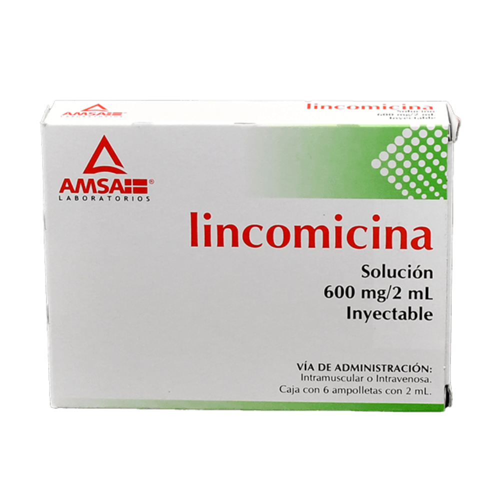LINCOMICINA 600MG/2ML C/6 AMSA
