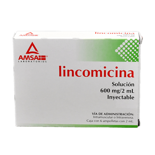 LINCOMICINA 600MG/2ML C/6 AMSA