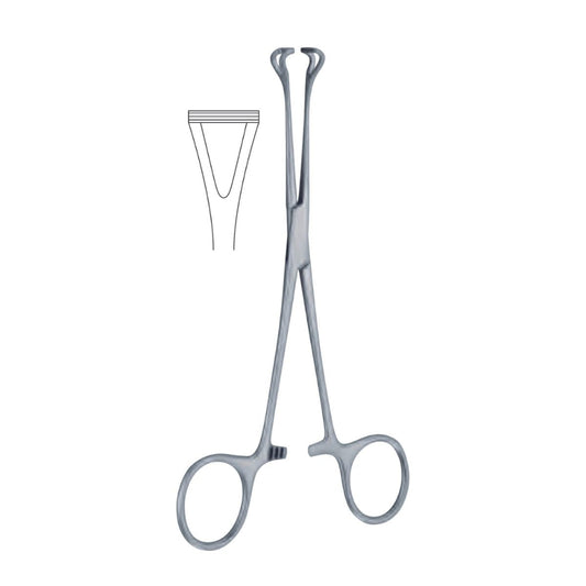 PINZA BABCOCK 16CM HERGOM