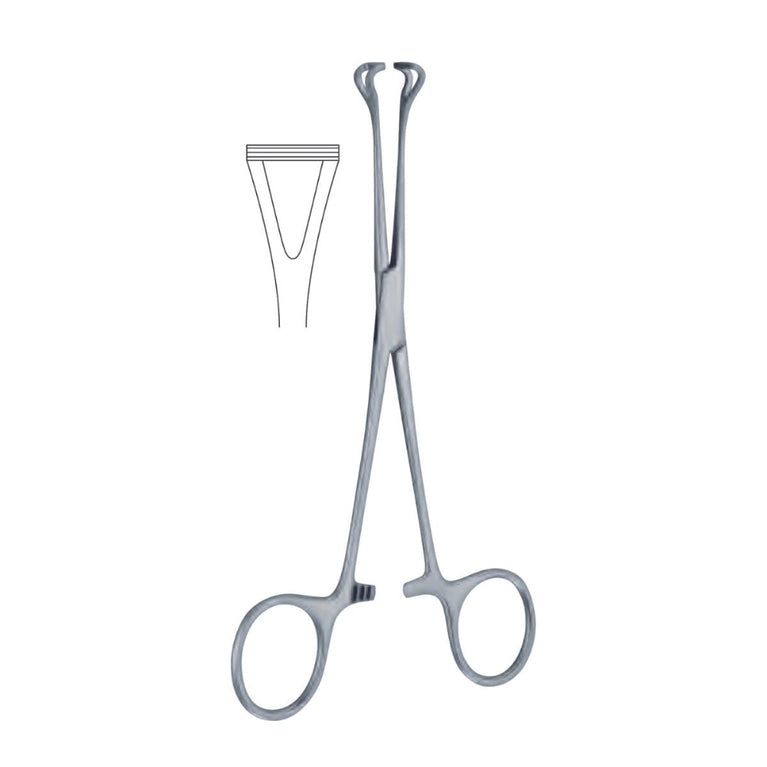 Strumento Veterinario In Acciaio Pinza Babcock Tissue Per Chirurgia Veterinaria - Strumento Chirurgico In Acciaio, Nuovo, Per Interventi Delicati Forceps Uses - Foto 9