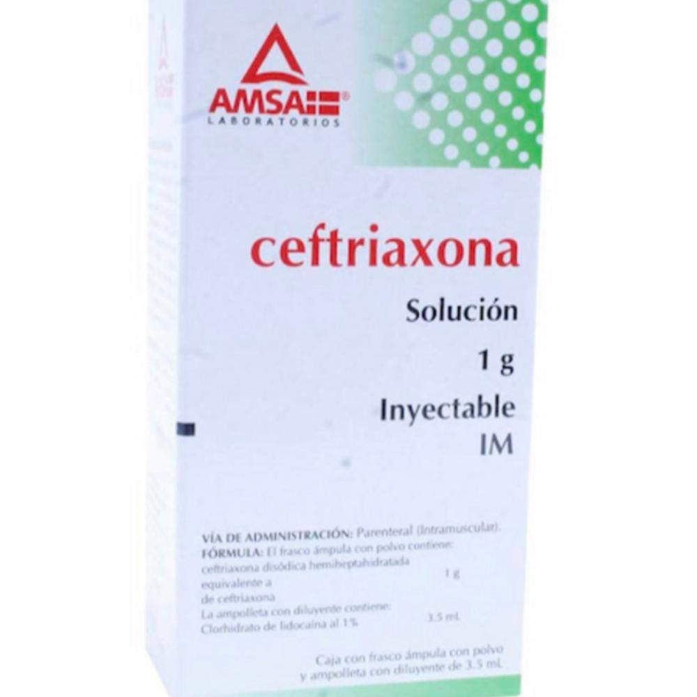 CEFTRIAXONA I.M. 1 G