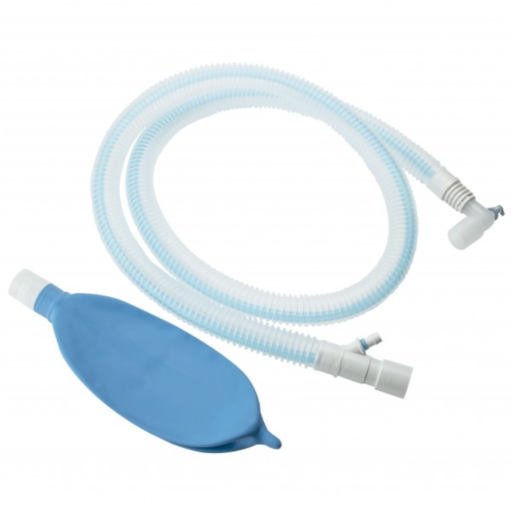 CIRCUITO BAIN ADULTO HUDSON RCI